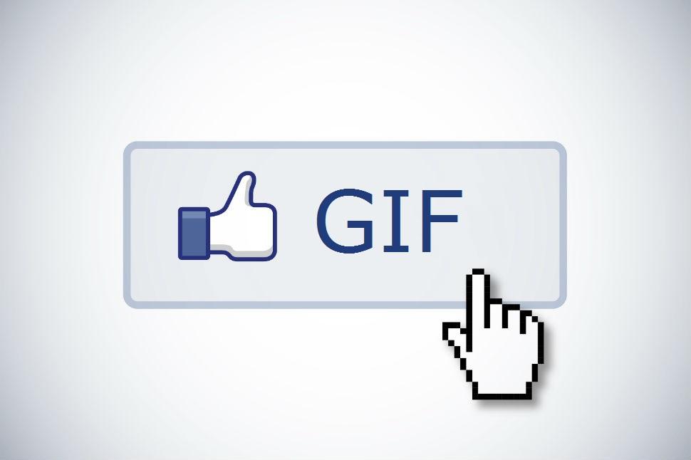 GIF on Facebook