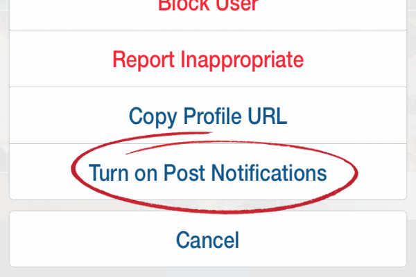 Why Must You Absolutely Turn on Post Notifications on Instagram?