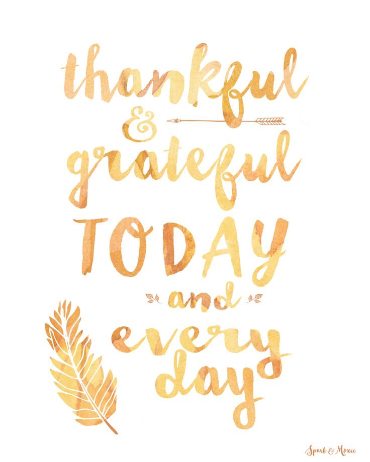 thankful and grateful today and everyday