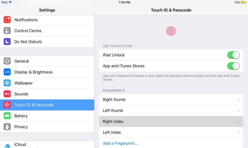 Touch ID Password