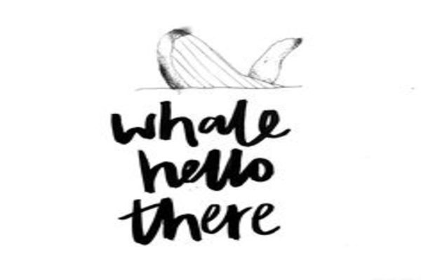 whale hello there 