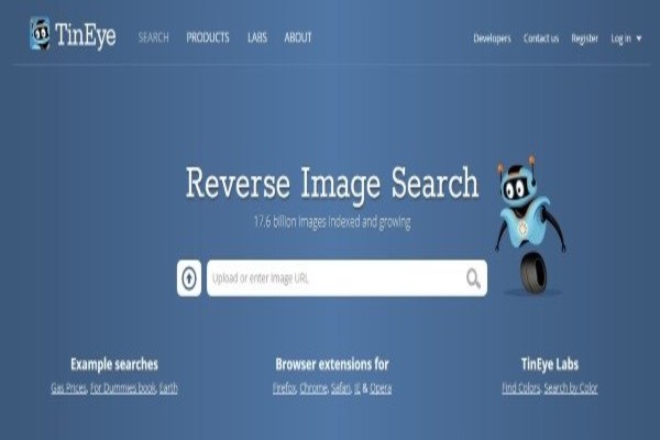 reverse image search