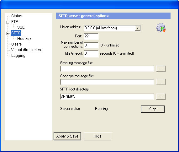 SFTP server general options 