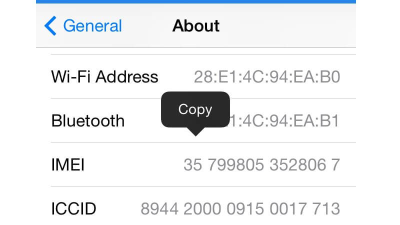 iPhone serial number